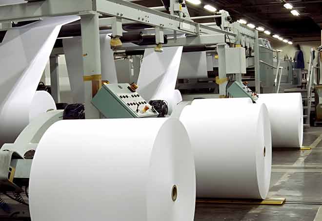 Finished white paper rolls ready for converters